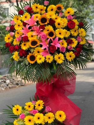 khai trương hồng phát-CM020