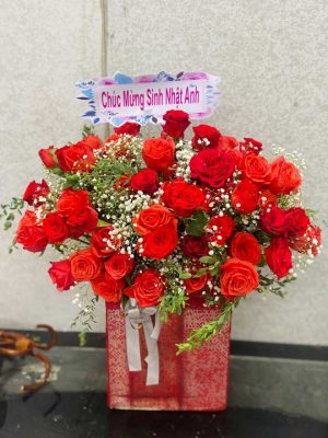 Tiếng Gọi Yêu Thương - SN208