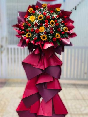 Hào Quang Tỏa Sáng - CM234